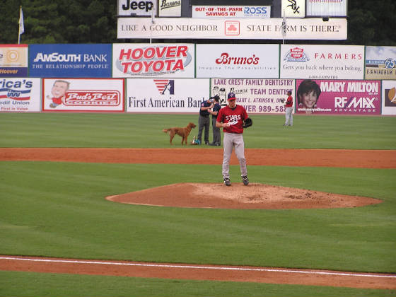 My night with the Birmingham Barons - May 2, 2014 – Steven On The Move